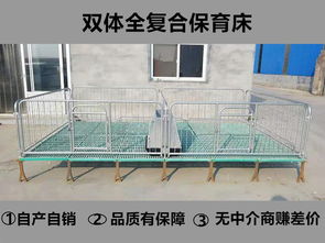 猪场使用仔猪保育床的八大核心优势